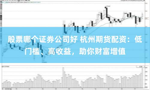 股票哪个证券公司好 杭州期货配资：低门槛、高收益，助你财富增值