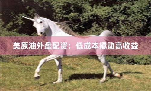 美原油外盘配资：低成本撬动高收益